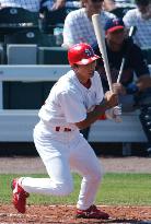 Cardinals Taguchi gets his 1st hits against Twins